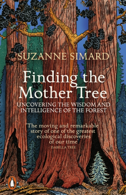Finding the Mother Tree : Uncovering the Wisdom and Intelligence of the Forest, EPUB eBook