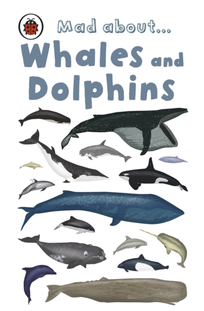 Mad About Whales and Dolphins, EPUB eBook