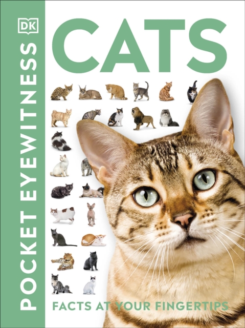 Cats : Facts at Your Fingertips, Paperback / softback Book