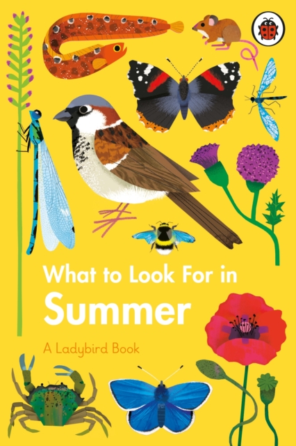 What to Look For in Summer, EPUB eBook