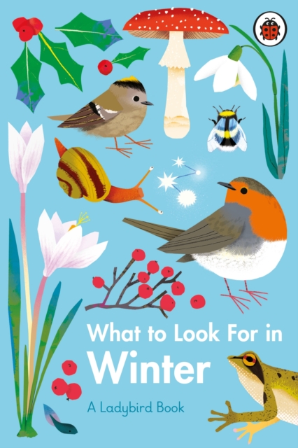 What to Look For in Winter, Hardback Book