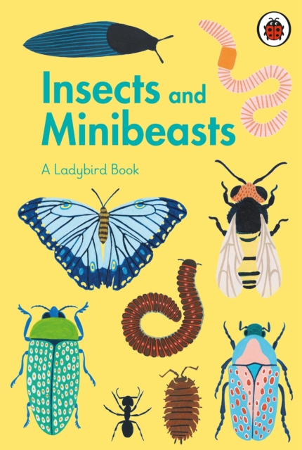 A Ladybird Book: Insects and Minibeasts, Hardback Book