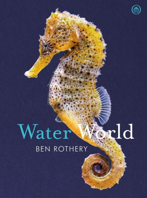 Water World, Hardback Book