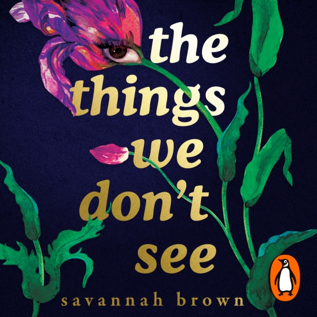 The Things We Don't See, eAudiobook MP3 eaudioBook