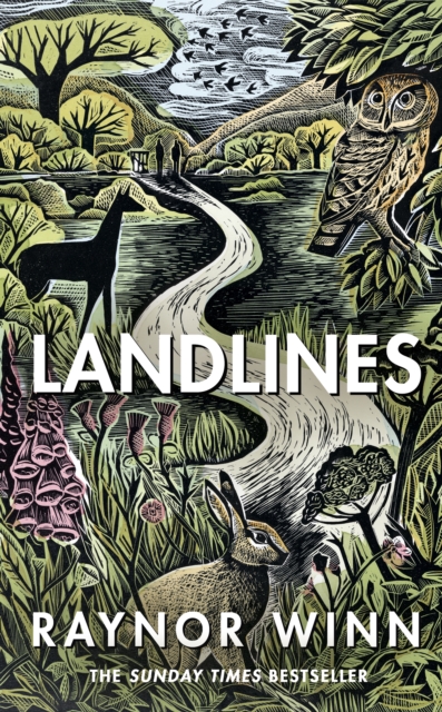 Landlines : The remarkable story of a thousand-mile journey across Britain from the million-copy bestselling author of The Salt Path, Hardback Book