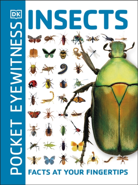 Pocket Eyewitness Insects : Facts at Your Fingertips, EPUB eBook