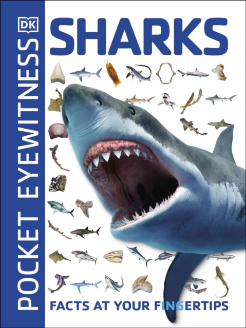 Pocket Eyewitness Sharks : Facts at Your Fingertips, EPUB eBook