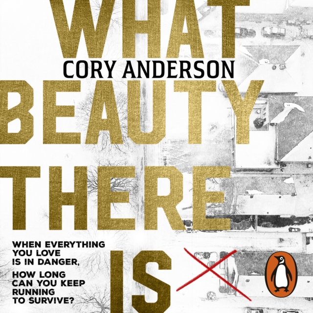 What Beauty There Is, eAudiobook MP3 eaudioBook