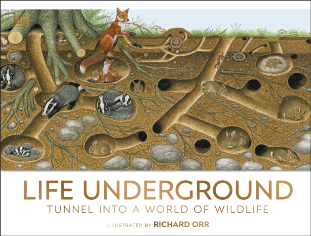 Life Underground : Tunnel into a World of Wildlife, Hardback Book