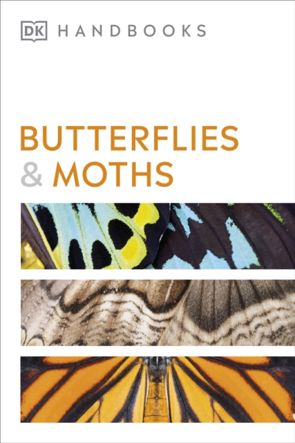 Butterflies and Moths, Paperback / softback Book