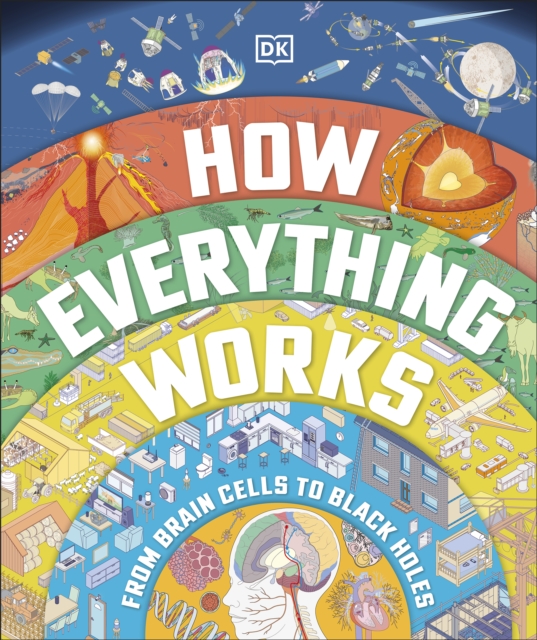 How Everything Works : From Brain Cells to Black Holes, EPUB eBook