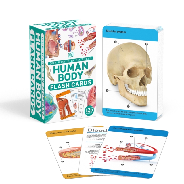 Our World in Pictures Human Body Flash Cards, Cards Book
