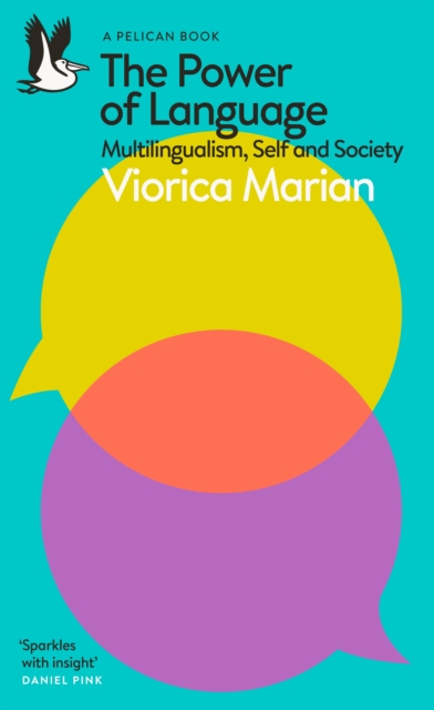 The Power of Language : Multilingualism, Self and Society, Paperback / softback Book