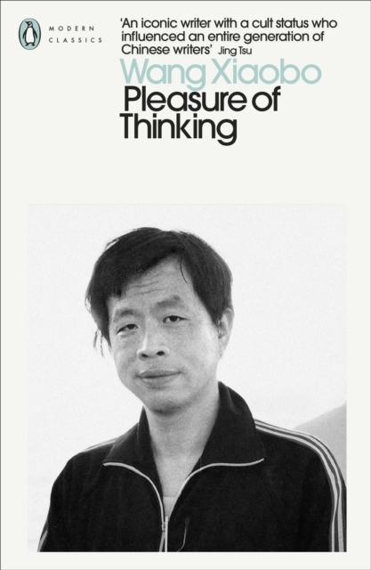 Pleasure of Thinking, Paperback / softback Book
