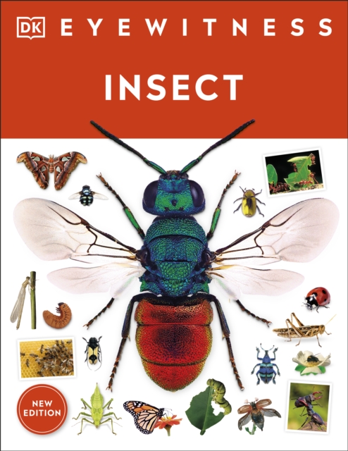 Insect, EPUB eBook