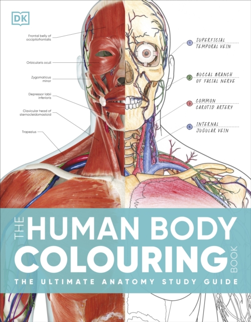 The Human Body Colouring Book : The Ultimate Anatomy Study Guide, Paperback / softback Book