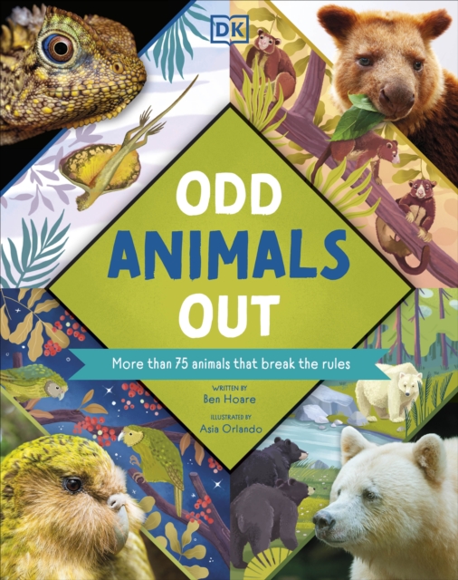 Odd Animals Out, Hardback Book