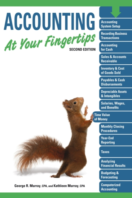 Accounting At Your Fingertips, 2e, EPUB eBook