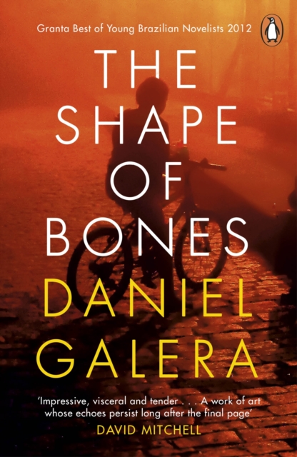 The Shape of Bones, EPUB eBook