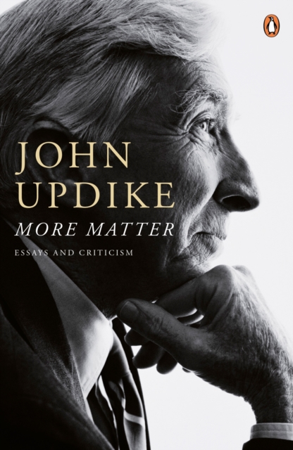 More Matter : Essays And Criticism, EPUB eBook