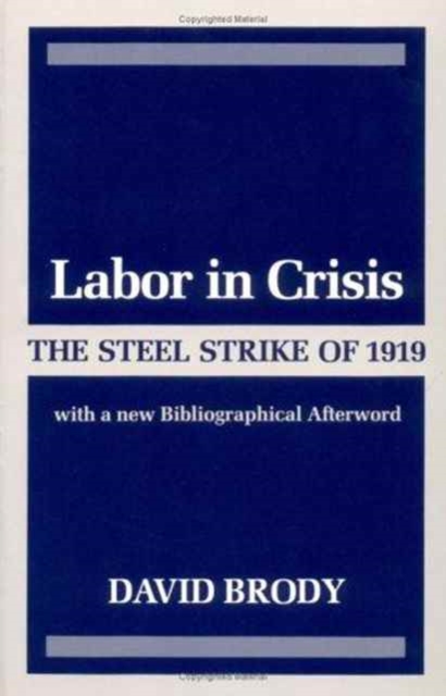 Labor in Crisis : THE STEEL STRIKE OF 1919, Paperback / softback Book