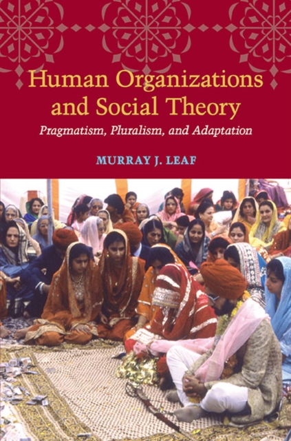 Human Organizations and Social Theory : Pragmatism, Pluralism, and Adaptation, Hardback Book