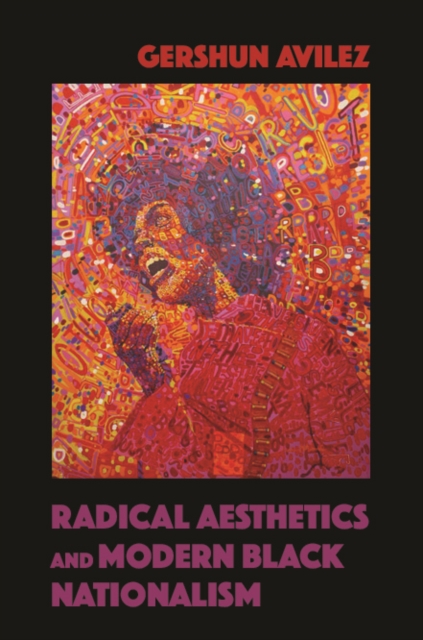 Radical Aesthetics and Modern Black Nationalism, Hardback Book