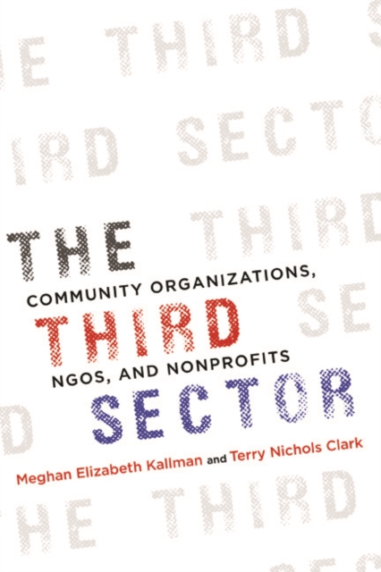 The Third Sector : Community Organizations, NGOs, and Nonprofits, Hardback Book