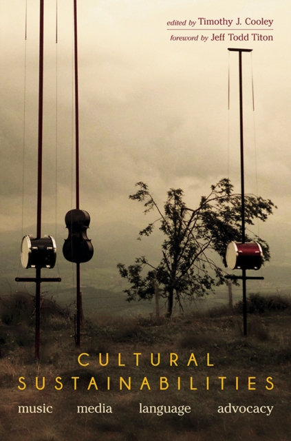 Cultural Sustainabilities : Music, Media, Language, Advocacy, Hardback Book