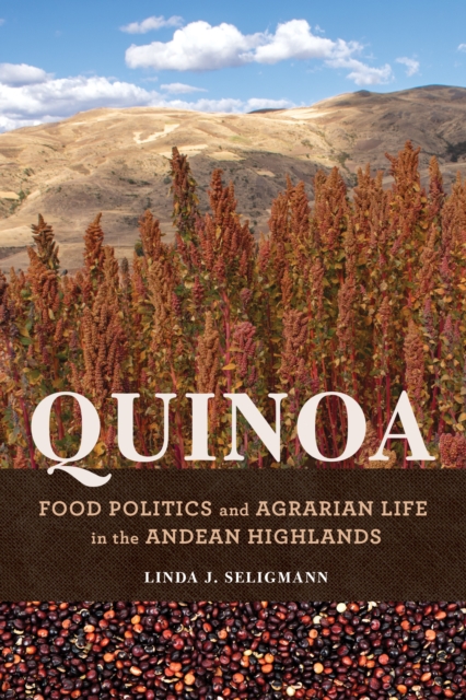 Quinoa : Food Politics and Agrarian Life in the Andean Highlands, Hardback Book