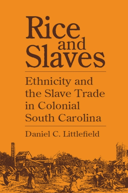 Rice and Slaves : Ethnicity and the Slave Trade in Colonial South Carolina, EPUB eBook