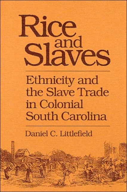 Rice and Slaves : Ethnicity and the Slave Trade in Colonial South Carolina, Paperback / softback Book
