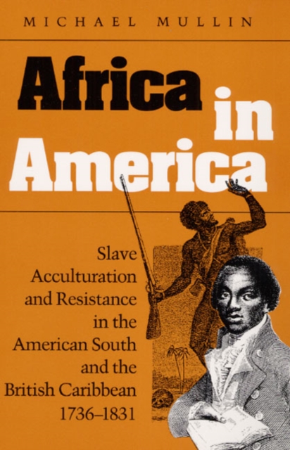 Africa in America : Slave Acculturation and Resistance in the American South and the British Caribbean, 1736-1831, Paperback / softback Book
