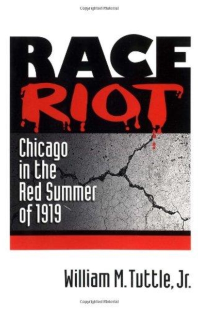 Race Riot : CHICAGO IN THE RED SUMMER OF 1919, Paperback / softback Book