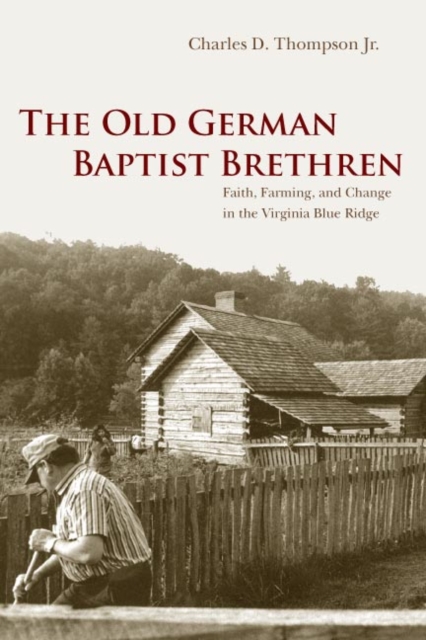 The Old German Baptist Brethren : Faith, Farming, and Change in the Virginia Blue Ridge, Paperback / softback Book