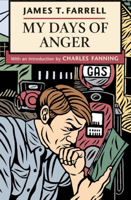 My Days of Anger, Paperback / softback Book