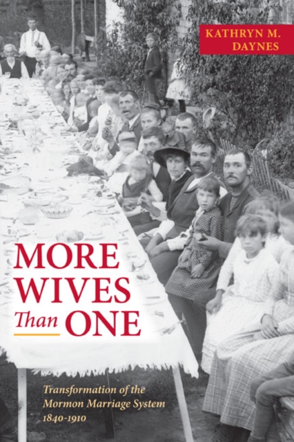 More Wives Than One : Transformation of the Mormon Marriage System, 1840-1910, Paperback / softback Book