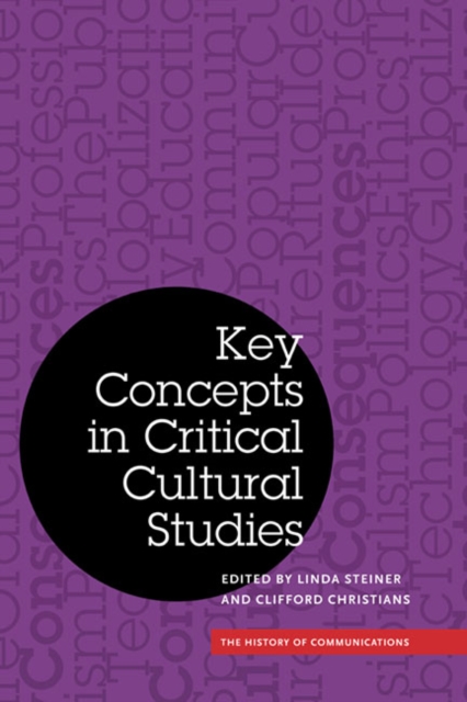 Key Concepts in Critical Cultural Studies, Paperback / softback Book