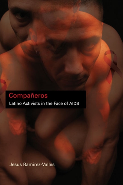 Companeros : Latino Activists in the Face of AIDS, Paperback / softback Book