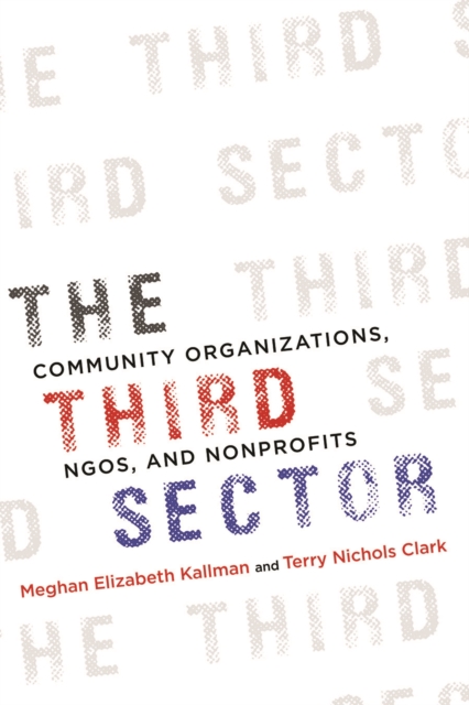 The Third Sector : Community Organizations, NGOs, and Nonprofits, Paperback / softback Book