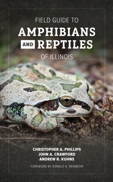 Field Guide to Amphibians and Reptiles of Illinois, Paperback / softback Book