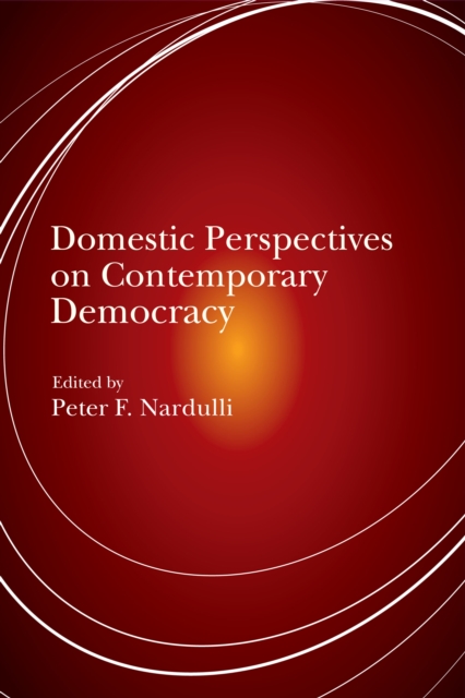 Domestic Perspectives on Contemporary Democracy, EPUB eBook