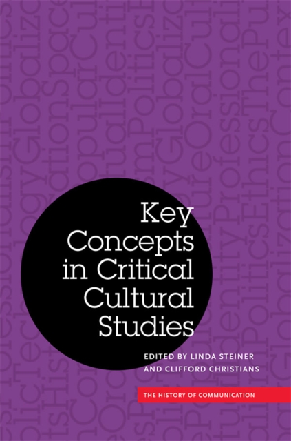 Key Concepts in Critical Cultural Studies, EPUB eBook