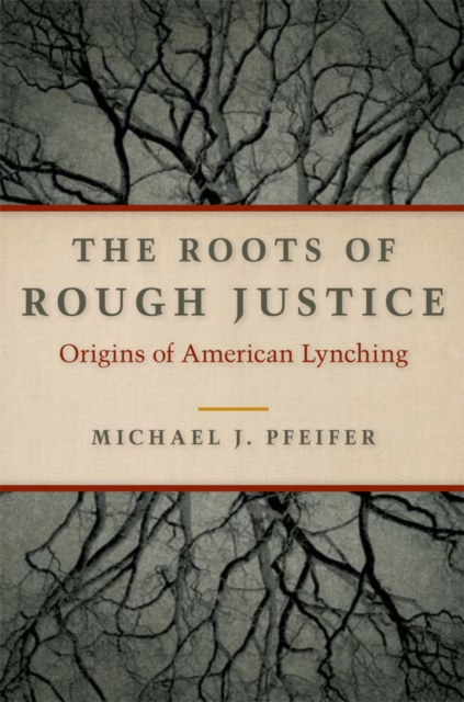 The Roots of Rough Justice : Origins of American Lynching, EPUB eBook