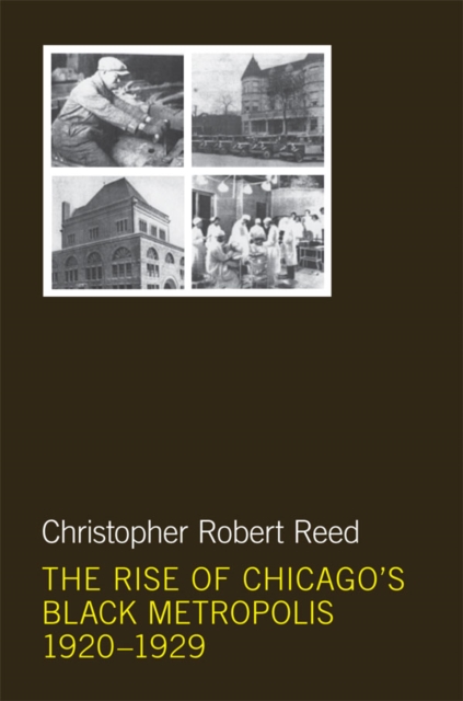 The Rise of Chicago's Black Metropolis, 1920-1929, EPUB eBook