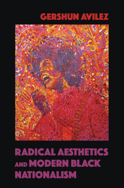 Radical Aesthetics and Modern Black Nationalism, EPUB eBook