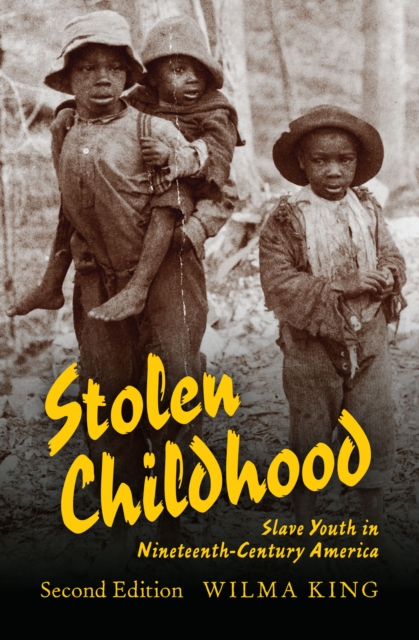 Stolen Childhood : Slave Youth in Nineteenth-Century America, EPUB eBook