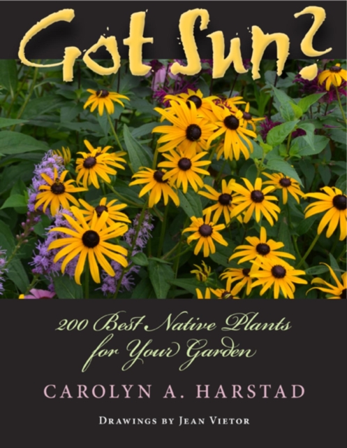 Got Sun? : 200 Best Native Plants for Your Garden, Paperback / softback Book