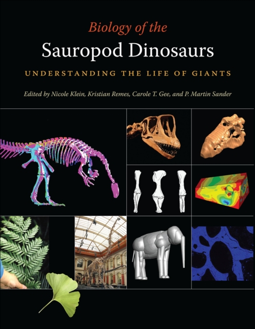 Biology of the Sauropod Dinosaurs : Understanding the Life of Giants, EPUB eBook