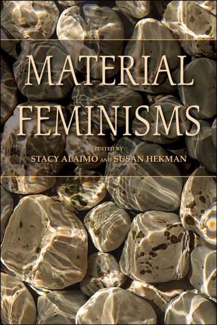 Material Feminisms, EPUB eBook